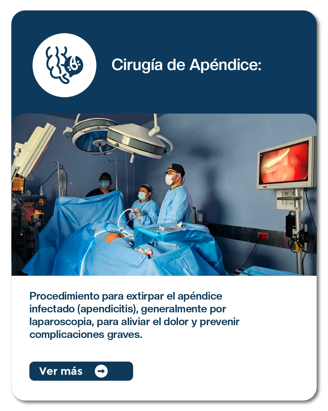 Procedimientos