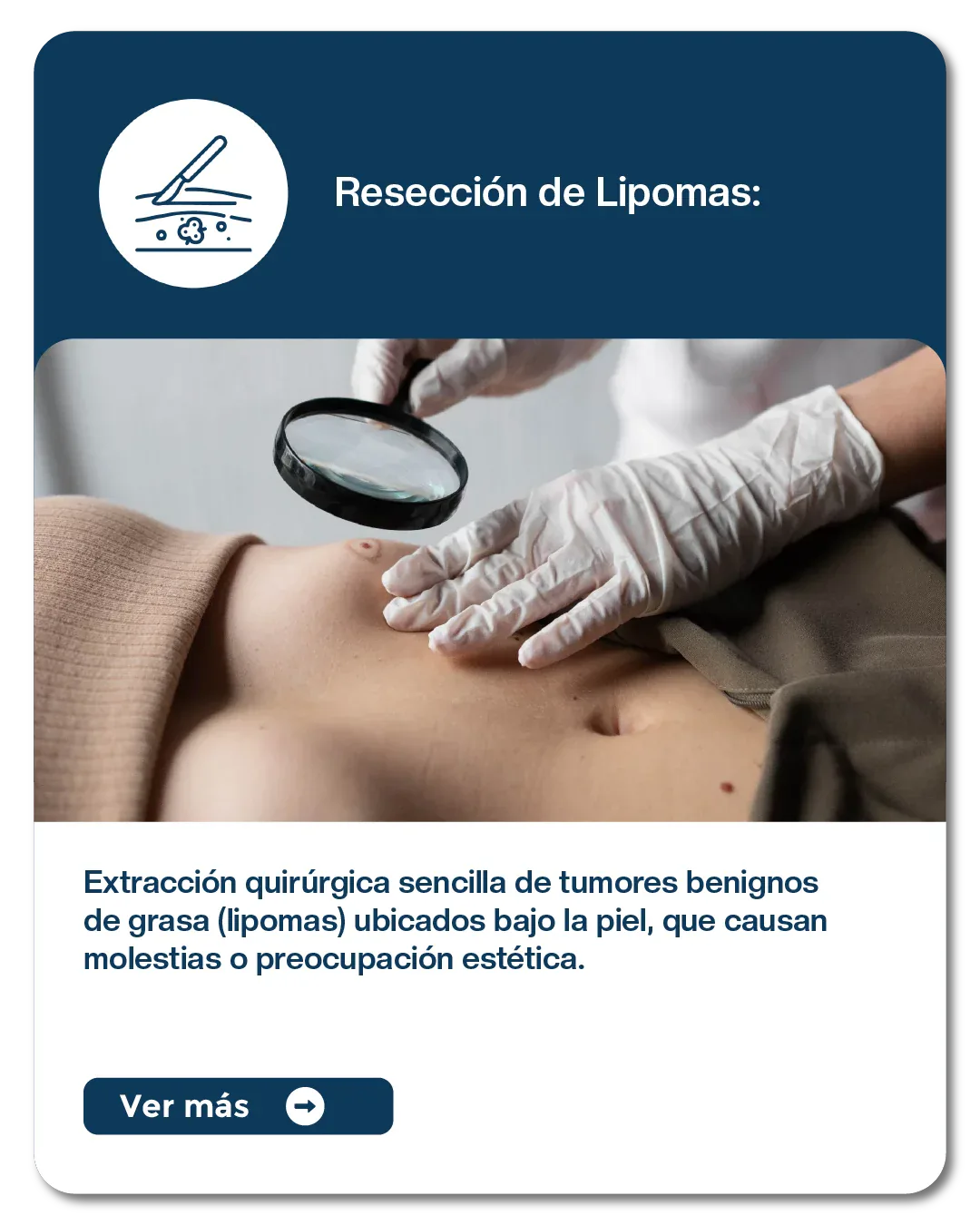 Procedimientos